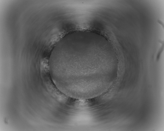 X0000102240672200808221332