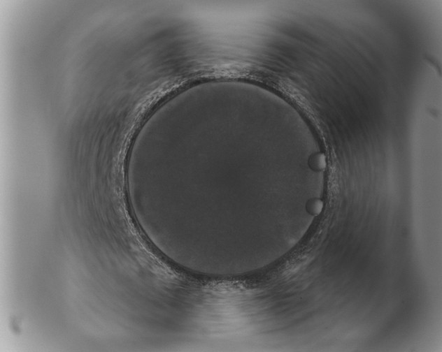 X0000102240673200808221331