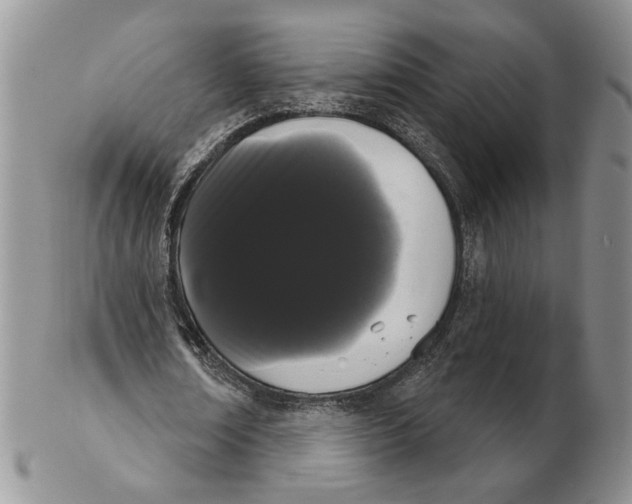 X0000102240674200808221331