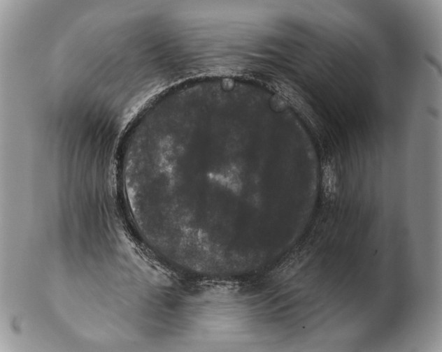 X0000102240676200808221331