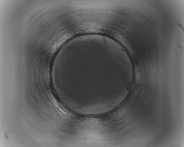 X0000102240677200808221331