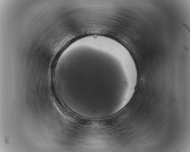 X0000102240678200808221331