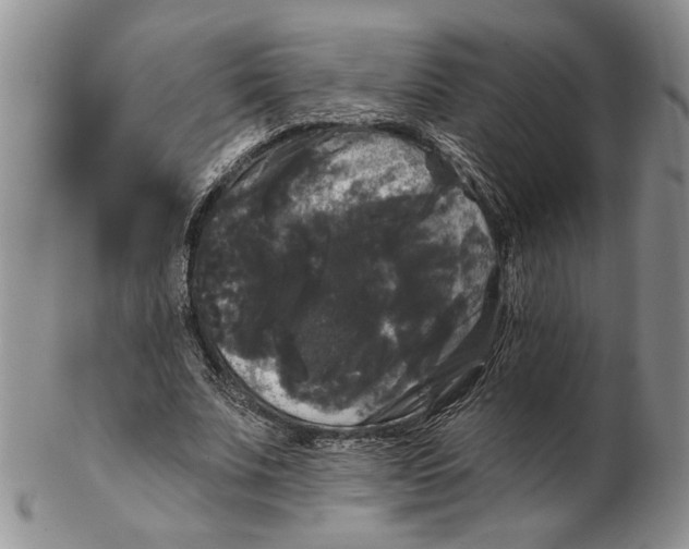 X0000102240679200808221331