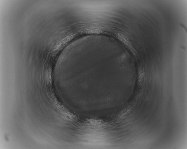 X0000102240681200808221331