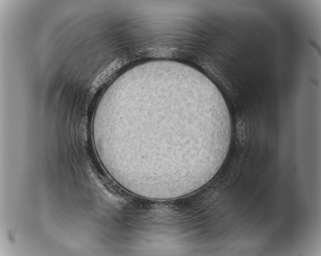 X0000102240682200808221331