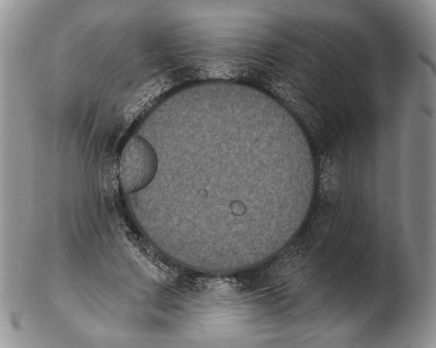 X0000102240683200808221331