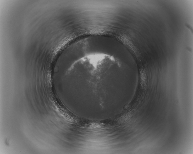 X0000102240684200808221331