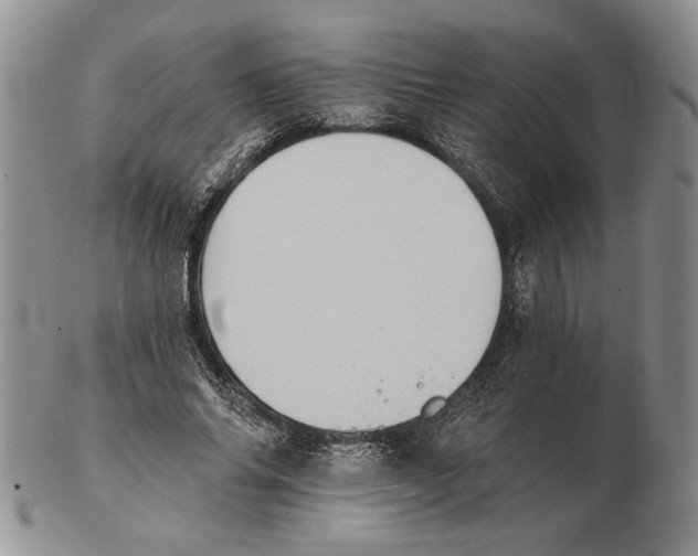 X0000102240686200808221331