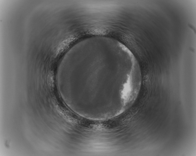 X0000102240688200808221331