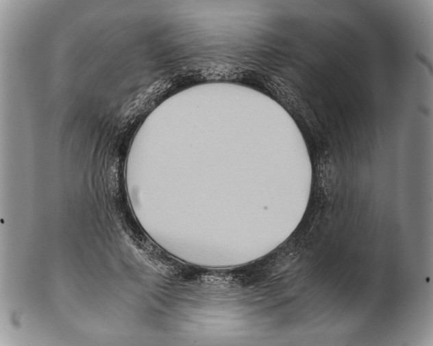 X0000102240690200808221331