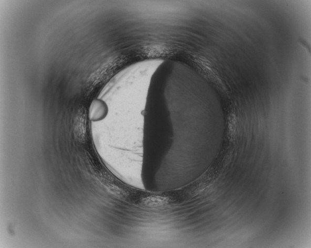 X0000102240691200808221331