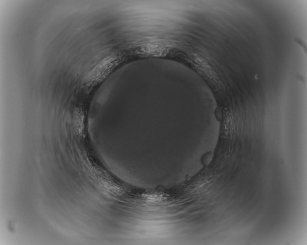 X0000102240693200808221331