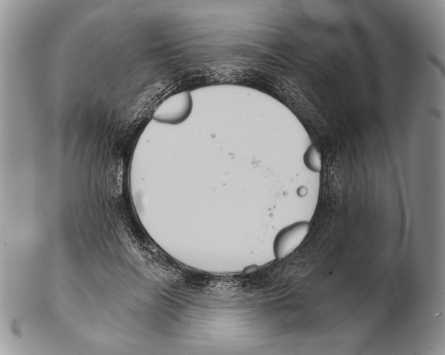 X0000102240694200808221331