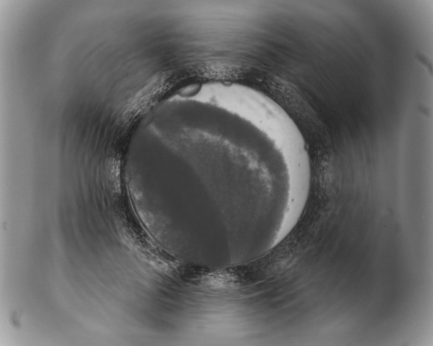 X0000102240696200808221331