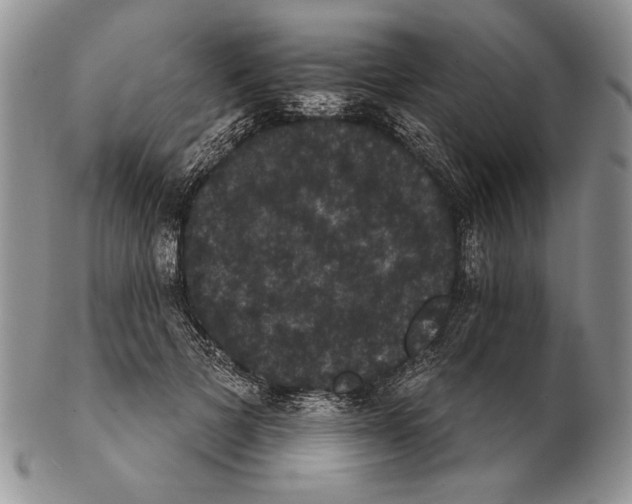 X0000102240697200808221331