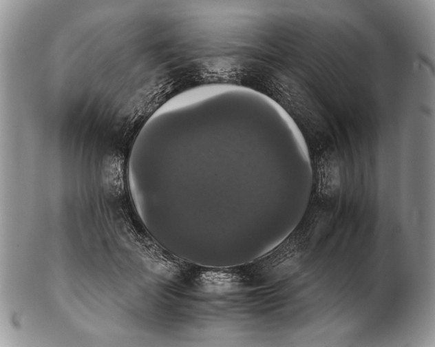 X0000102240699200808221331