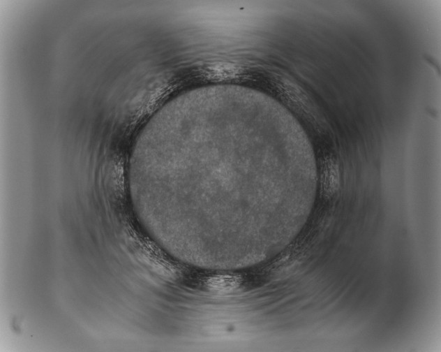 X0000102240700200808221331