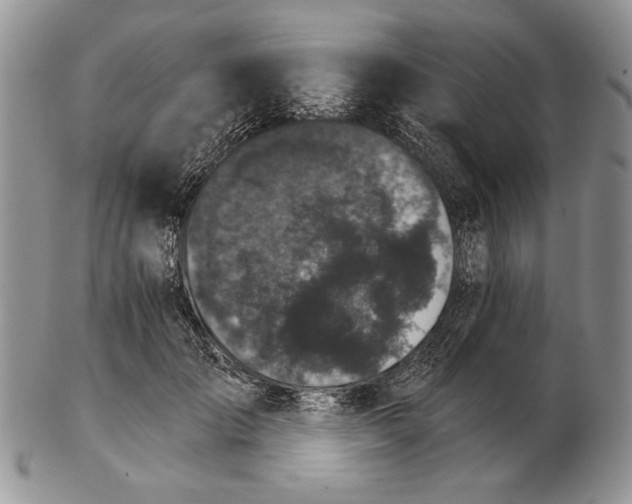 X0000102240701200808221331