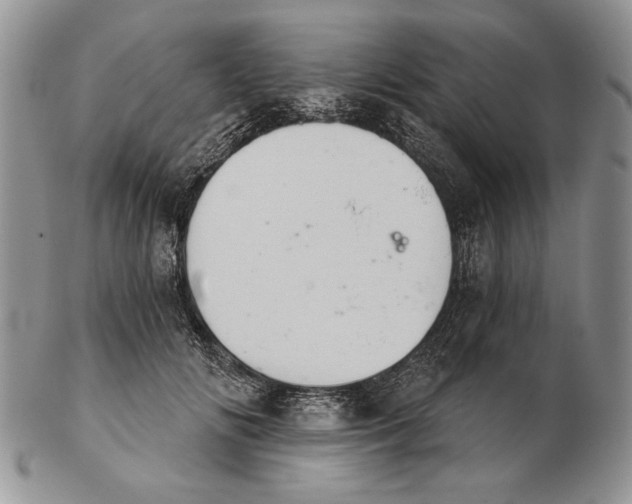 X0000102240702200808221331