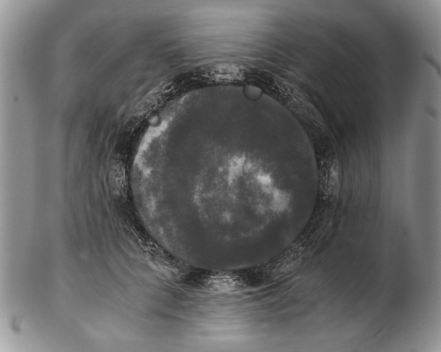 X0000102240704200808221331