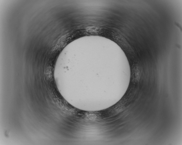 X0000102240706200808221330