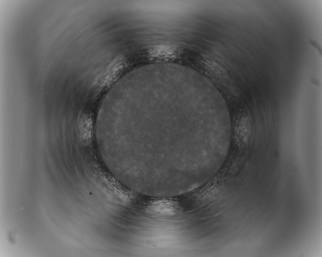 X0000102240708200808221330