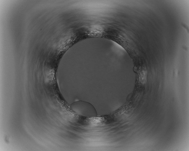 X0000102240711200808221330