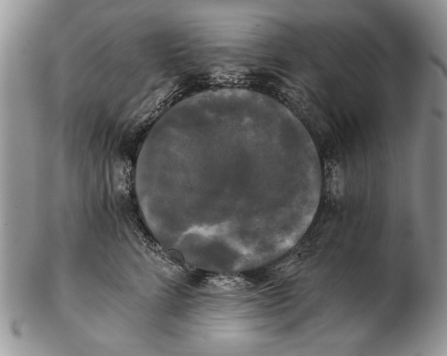 X0000102240712200808221330