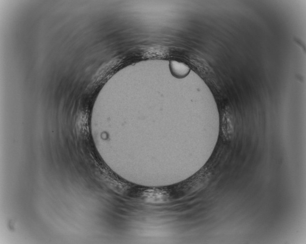 X0000102240714200808221330