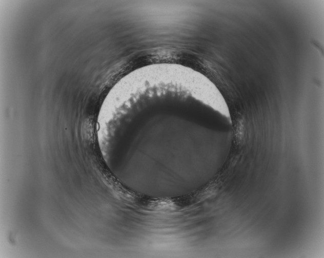 X0000102240715200808221330