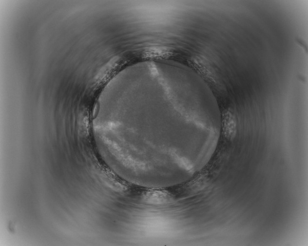 X0000102240716200808221330