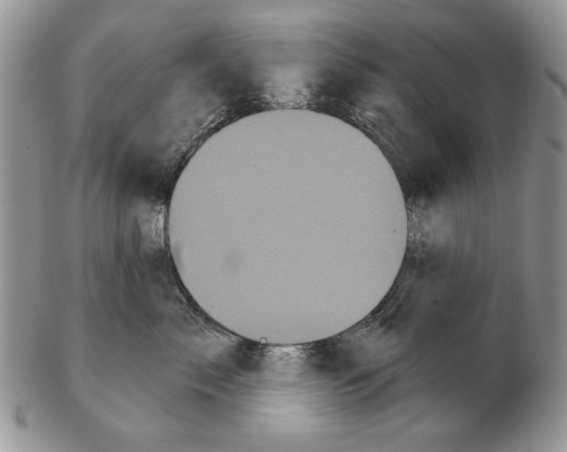 X0000102240717200808221330