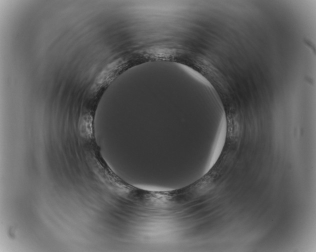 X0000102240718200808221330