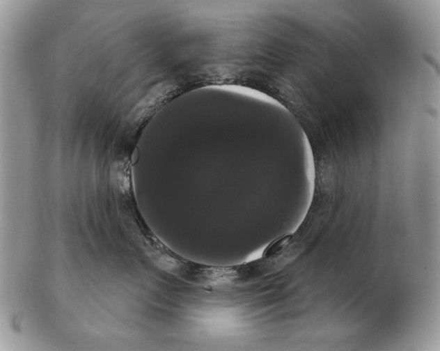 X0000102240719200808221330