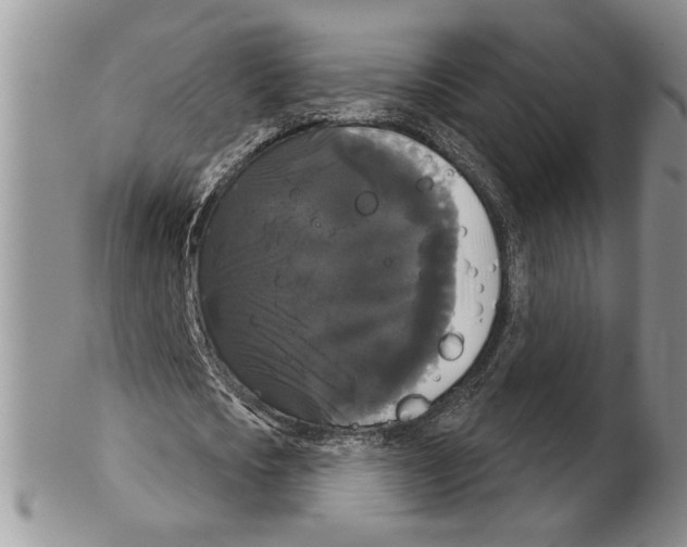 X0000102240721200808221330