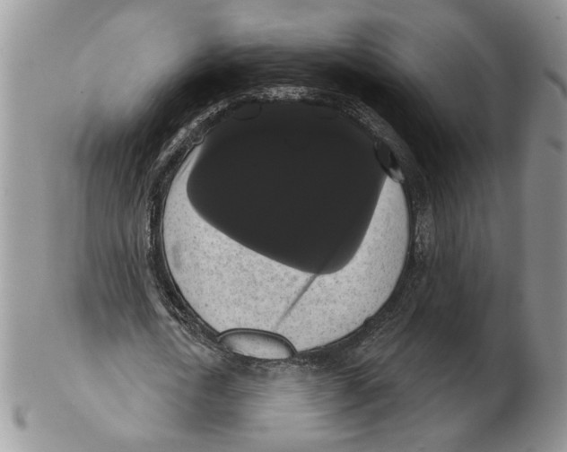 X0000102240722200808221330