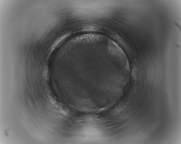 X0000102240724200808221330