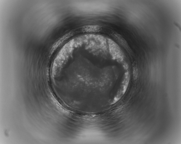 X0000102240725200808221330