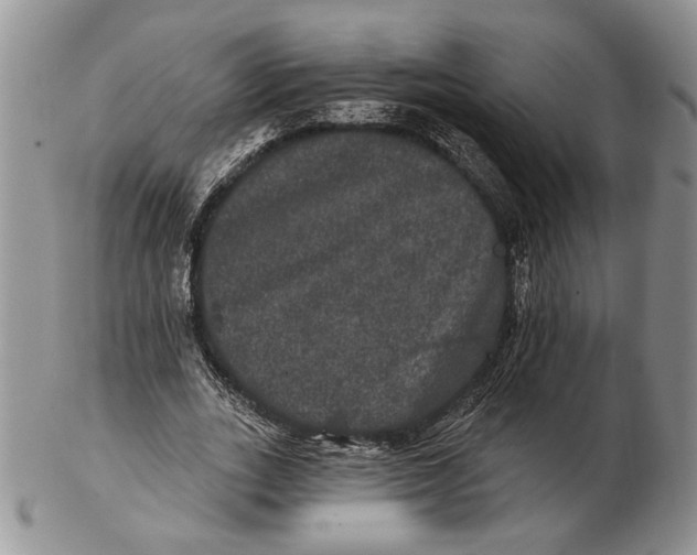 X0000102240727200808221330