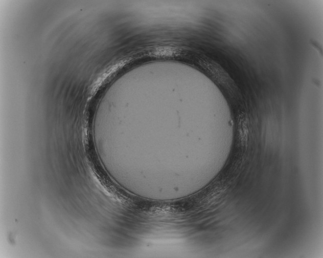 X0000102240728200808221330