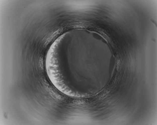 X0000102240729200808221330