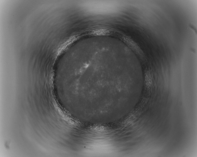 X0000102240730200808221330