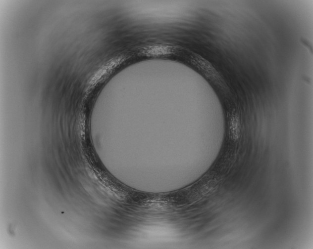 X0000102240732200808221330