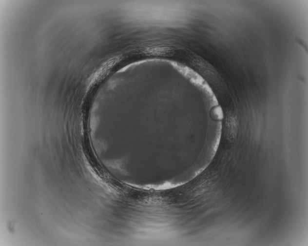 X0000102240734200808221330