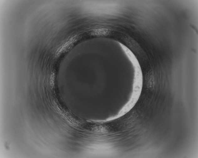 X0000102240735200808221330