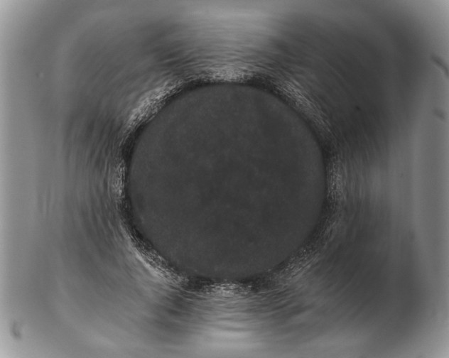 X0000102240736200808221330