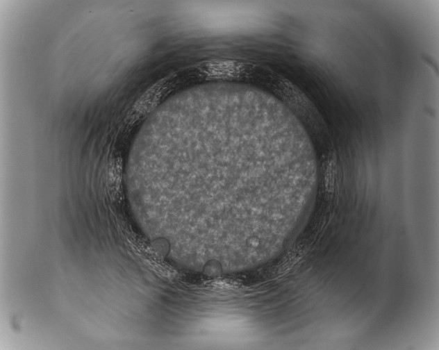 X0000102240737200808221330