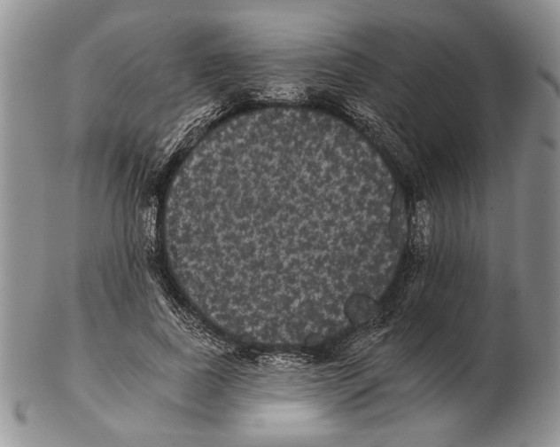 X0000102240739200808221330