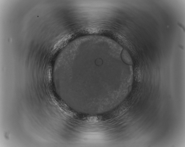 X0000102240740200808221330