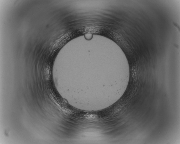 X0000102240741200808221330